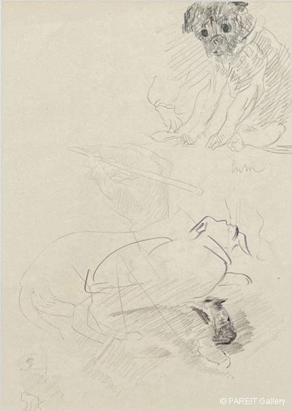 ENSOR James - Studie voor een hond